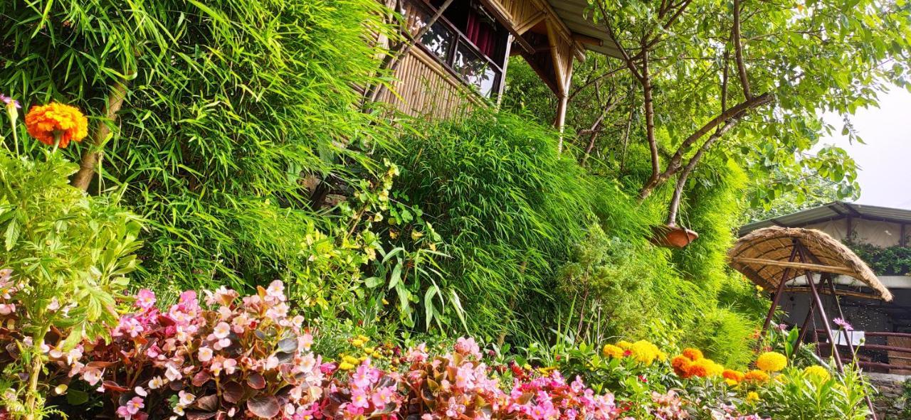 Nature Drops, Pangot Nainital Exterior foto