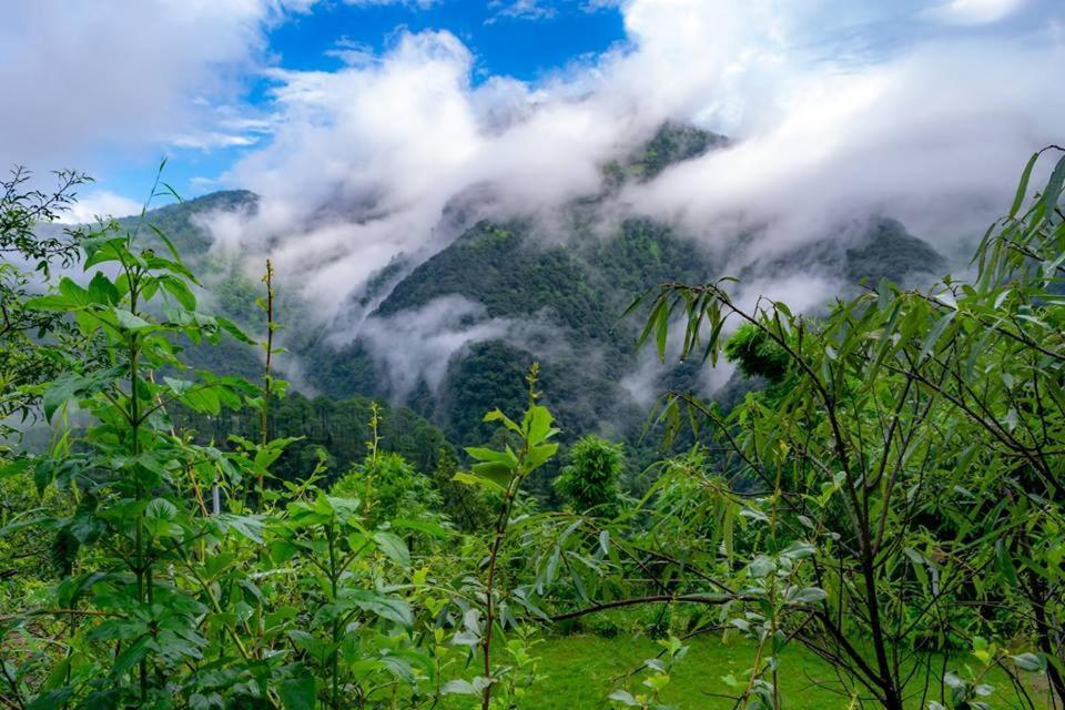 Nature Drops, Pangot Nainital Exterior foto